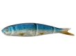  Savage Gear LB Soft 4 Play 9,5cm. Real Herring- 1szt.
